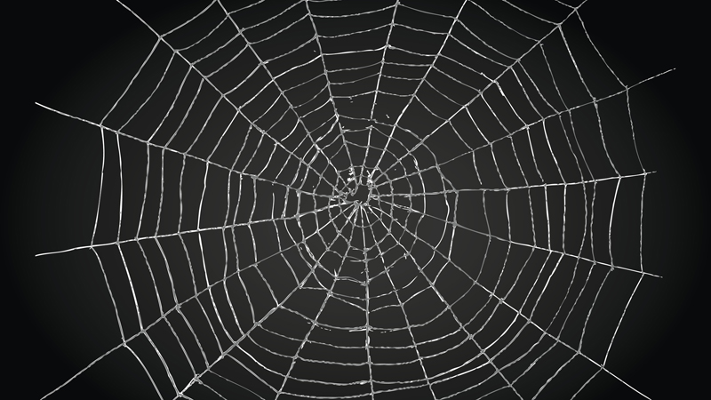 https://imechewebresources.blob.core.windows.net/imeche-web-content-osf/images/default-source/default-album/spider-web.jpg?sfvrsn=0