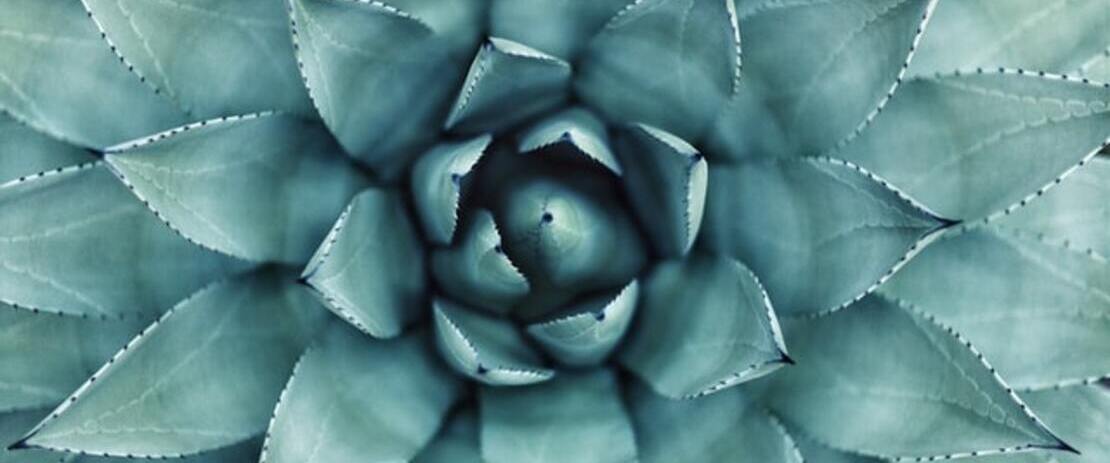 Carers' Breaks