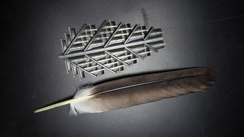 A feather and a prototype material inspired by the 'zipping' feature (Credit: UC San Diego)