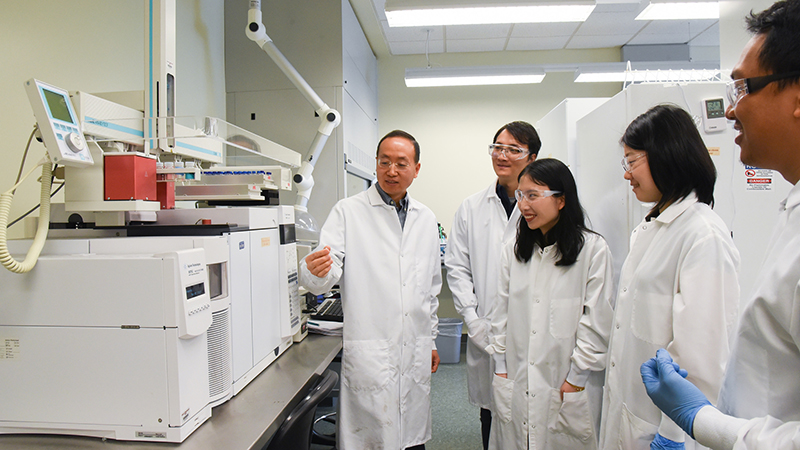 Dr Hanwu Lei and his research team in the lab (Credit: Washington State University)