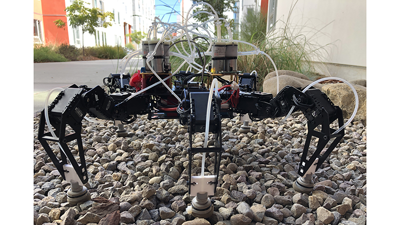 An off-the-shelf six-legged robot equipped with the feet designed by UC San Diego engineers can walk up to 40% faster (Credit: University of California San Diego)