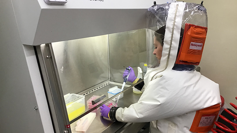 A researcher tests the nanosponges, which can attract and neutralise coronavirus cells (Credit: Courtesy of the Griffiths lab at Boston University's National Emerging Infectious Diseases Laboratories (NEIDL))