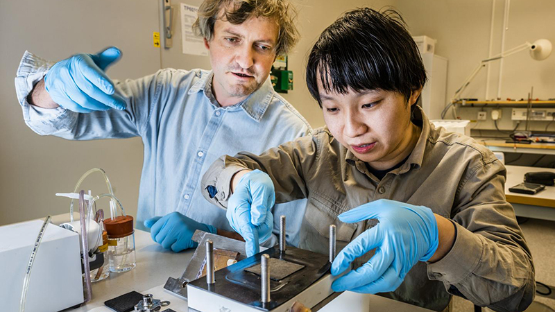 Mikhail Vagin, principal research engineer, and PhD student Penghui Ding. The organic battery could be used to store excess renewable energy (Credit: Thor Balkhed) 