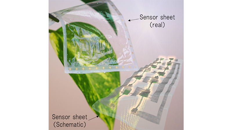 The transparent electronics could be used in a variety of sectors (Credit: Osaka University)