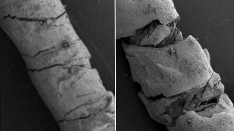 Bending the coated threads creates strain (right), which changes their electrical conductivity (Credit: Yiwen Jiang, Tufts University)