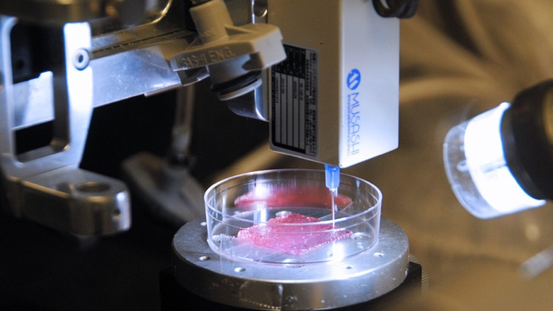 The University of Manchester project aims to optimise 3D bioprinting processes for use in space