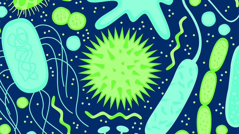 From making vegan leather and lighter materials to eating plastic and generating electricity, armies of bacteria are helping engineers in the fight for a more sustainable future (Credit: Shutterstock)