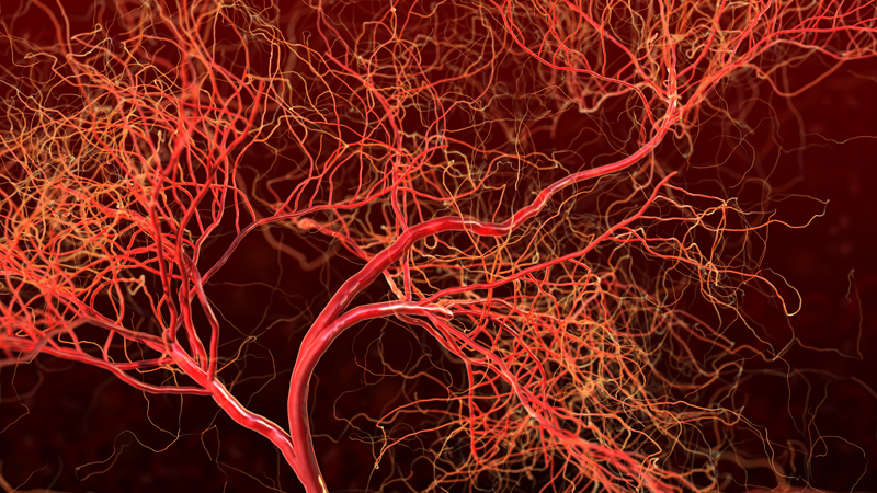 Artificial Blood Vessels 3D Printed In A Lab