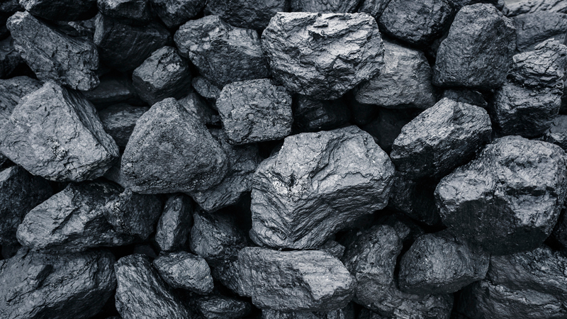 FEATURE: Six British companies working to cut carbon emissions FEATURE: Six British companies working to cut carbon emissions