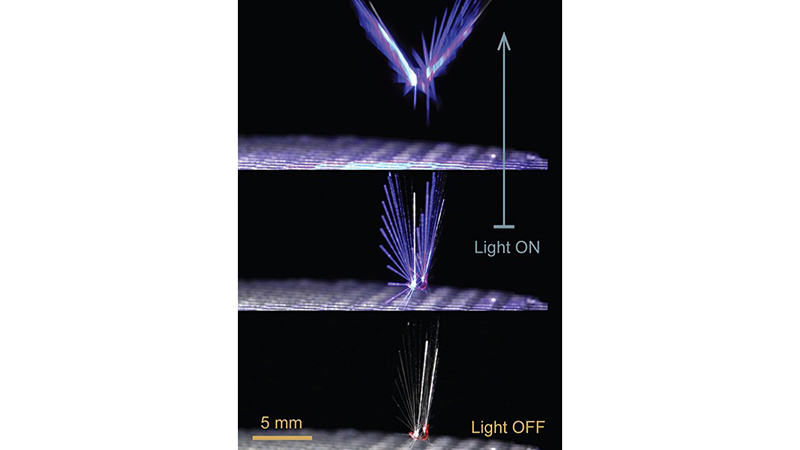 A laser beam or LED light can change the shape of the dandelion seed-like structure, controlling how it moves in flight (Credit: Jianfeng Yang/ Tampere University)