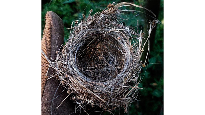 Fibre optic bird's nest