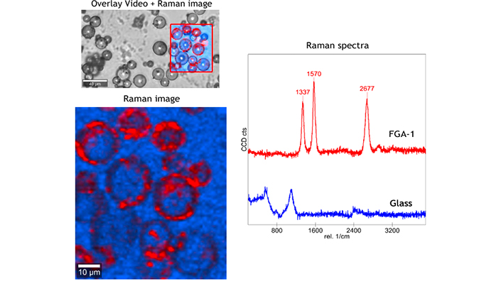 Chemical imaging showing the fractal graphene coating (FGA-1, red) on the surface of the glass microspheres (blue) using Raman spectroscopy