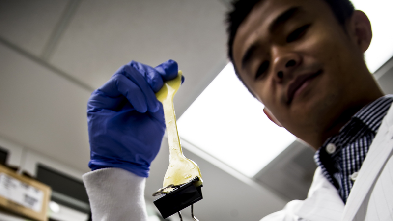 Lizhi Xu, a research fellow in chemical engineering, demonstrates the artificial cartilage (Credit: Joseph Xu, Michigan Engineering Communications and Marketing)