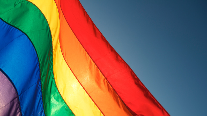 Online video series profiles LGBT engineers