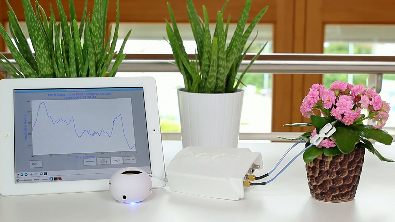 PhytlSigns allows people to hear plants' signals for the first time