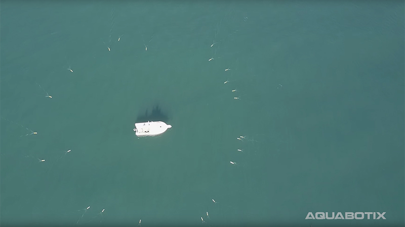 SwarmDiver robots surround a boat in a promotional video (Credit: Aquabotix/ YouTube)