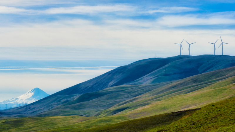 The battery, developed in the Pacific Northwest in the US, could store renewable energy during times of high production for use during high demand (Credit: Shutterstock)