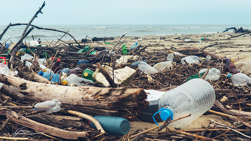 IMechE member Adrian Griffiths wants to clean up the seas with Recycling Technologies (Credit: Shutterstock)