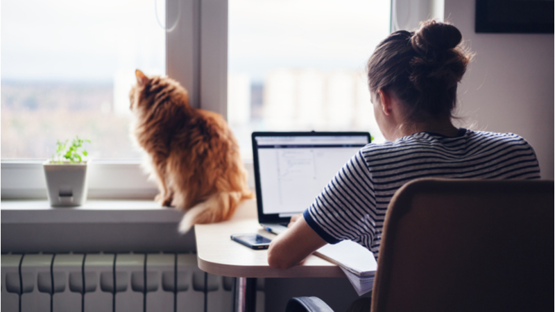 Some engineers who can work from home with ease might continue to do so after the pandemic (Credit: Shutterstock)