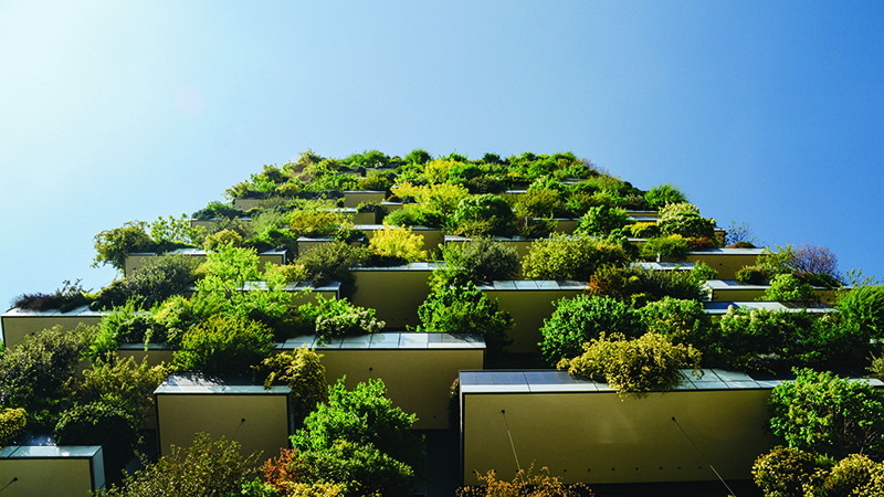 Increased investment in green buildings will mean having to work with sustainable materials (Credit: Shutterstock)