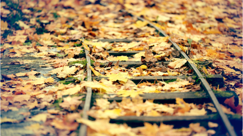 Stock image. The on-board system will automatically detect leaves on the line and other hazards (Credit: Shutterstock)