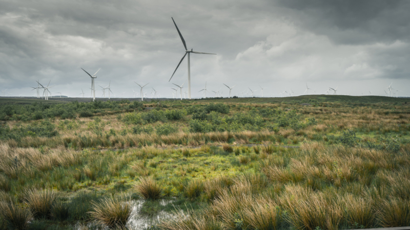 Whitelee Wind Farm on Eaglesham moor in Scotland (Credit: Shutterstock)