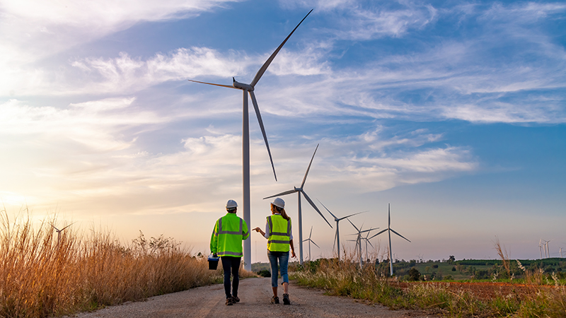 The EngineeringUK report found that engineering job ads mentioning green skills increased by nearly half over the last five years (Credit: Shutterstock)