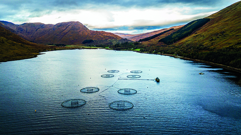 A Scottish salmon farm (Credit: Shutterstock)