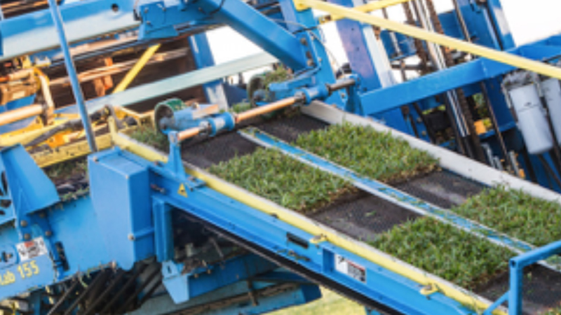 smart-turf-harvesting-machine-boosts-productivity-and-reduces-cost