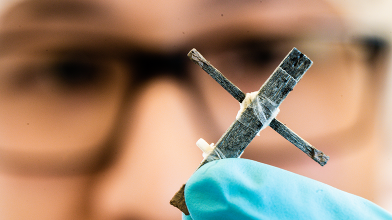 Researchers at Linköping University and KTH Royal Institute of Technology developed the 'world’s first electrical transistor made of wood' (Credit: Thor Balkhed)