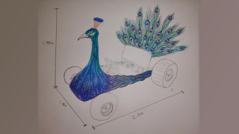 peacock design