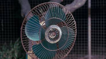 Tim Fox comments on heatwaves and rising temperatures Image