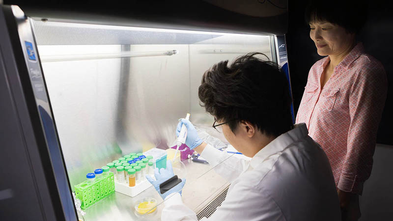 New process turns food waste into biodegradable plastic Image