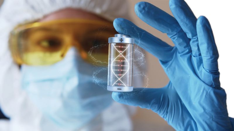 Bio Based Battery FEATURE: Building biological batteries using DNA, seaweed and beeswax