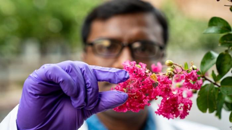 Weatherproof window coating could prevent building heat loss Image