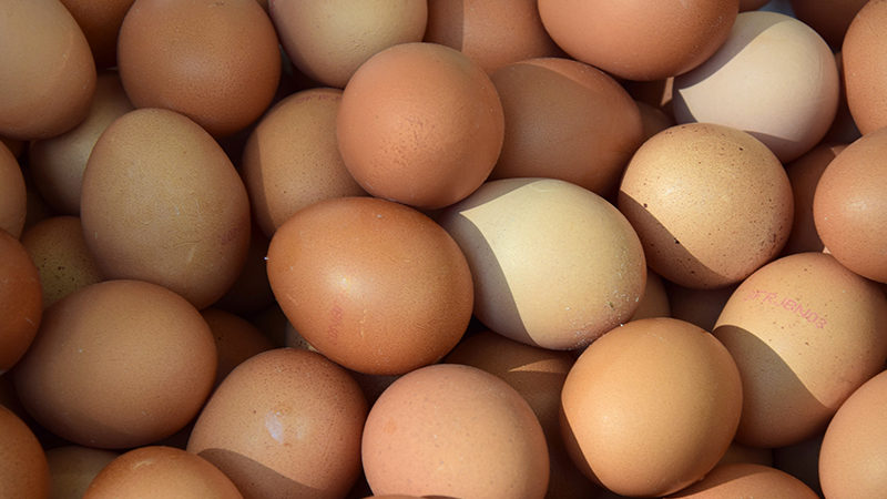Eggshell-inspired material offers ‘significant protection’ from space debrisImage