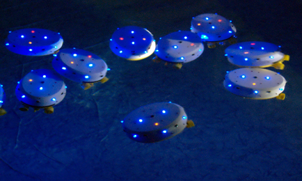 CoCoRo project: Underwater swarm robots